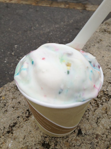 Birthday Cake Ice Cream (2)